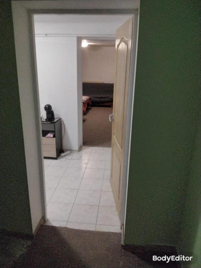 Camera Cu Baie Tina Timișoara Zewnętrze zdjęcie